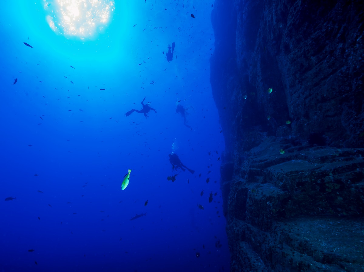 Three scuba divers descending along a dramatic underwater wall in deep blue ocean water