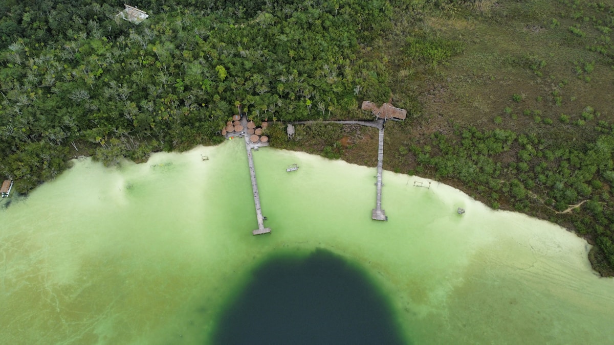 Aerial view of turquoise lagoon and jungle, Laguna de Kaan Luum, Tulum, Quintana Roo, Mexico