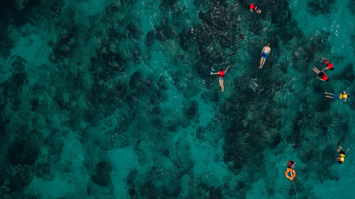 Aerial view of snorkellers floating in turquoise water over coral reef, Caribbean Mexico - the kind of natural lagoon experience at Xel-Há