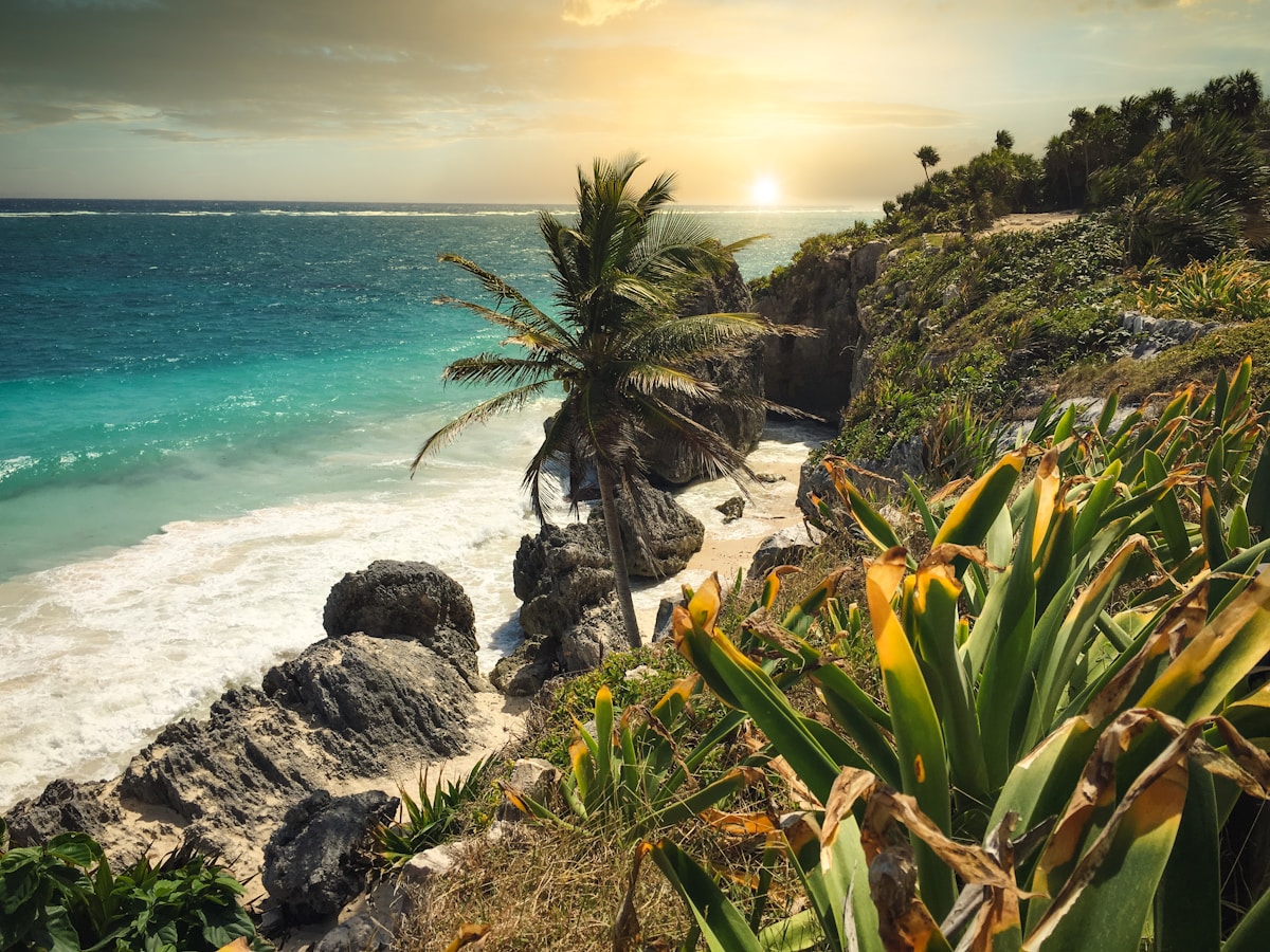 Tulum coastline with rocky cliffs, palm trees, turquoise Caribbean water, and golden sunset light