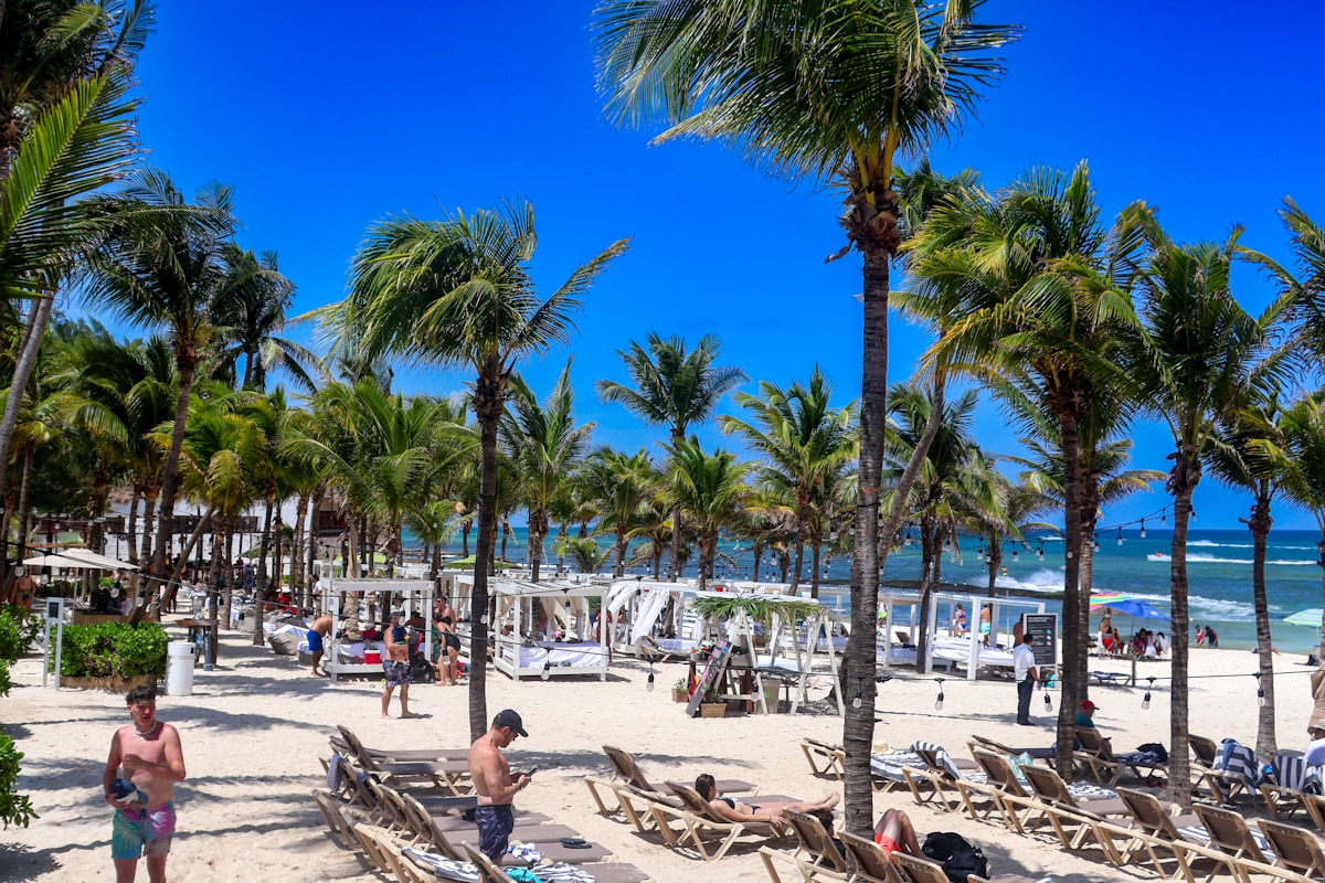 Playa del Carmen beach with palm trees and turquoise Caribbean water