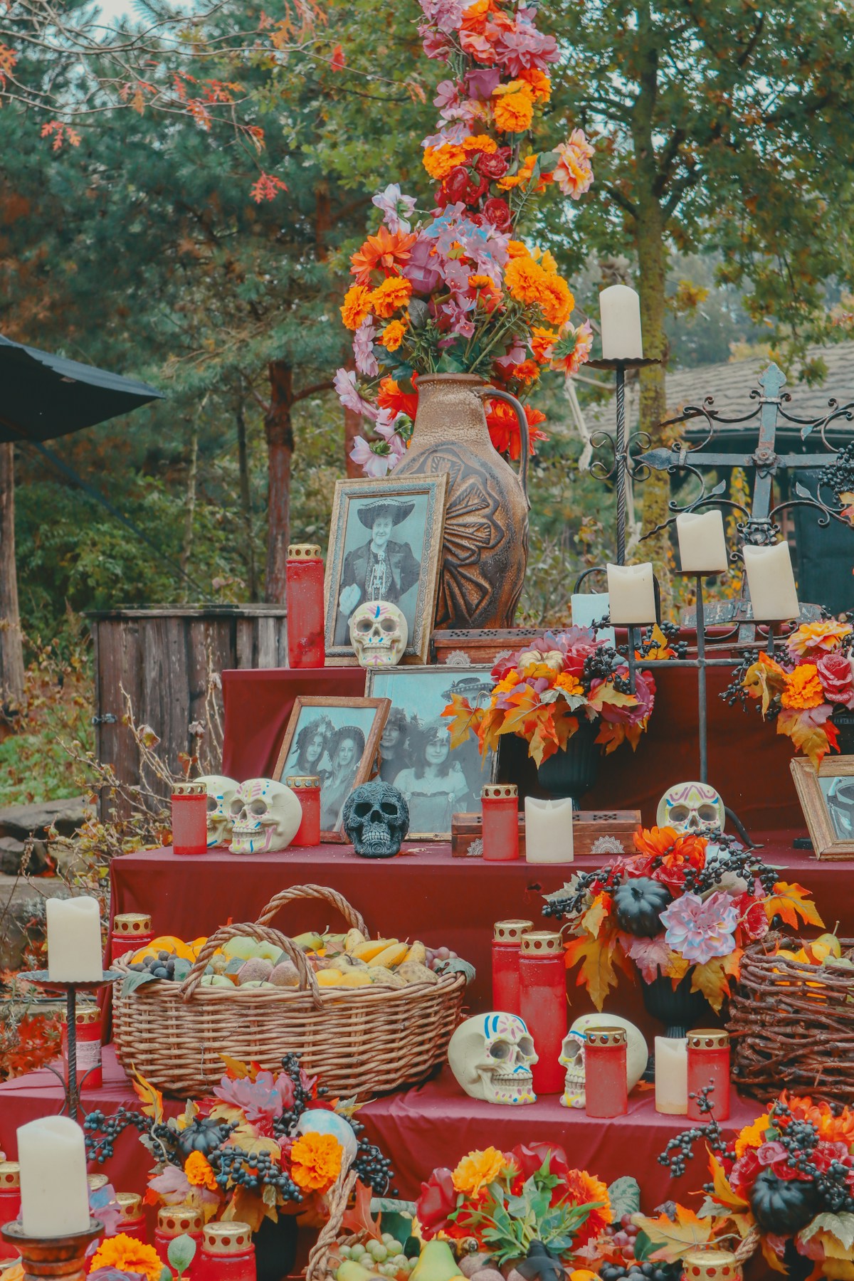 Día de los Muertos ofrenda display with marigold flowers, photographs and candles, Mexico