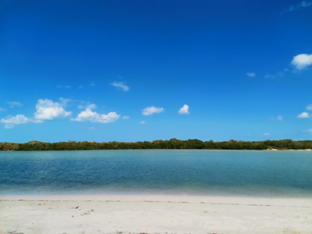 Turquoise lagoon shoreline with white sand and green trees, Bacalar, Quintana Roo