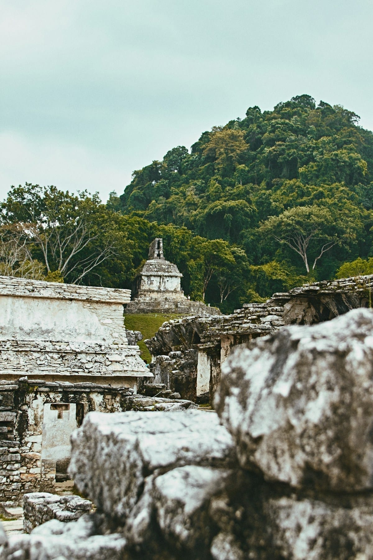 Maya ruins among stone walls with jungle-covered hills rising behind, Palenque, Chiapas