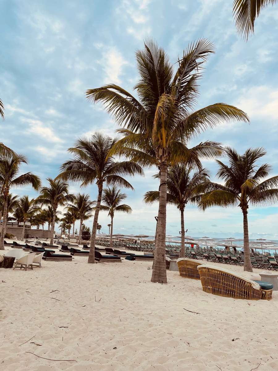 Palm trees on a white sand beach, Playa del Carmen, Mexico