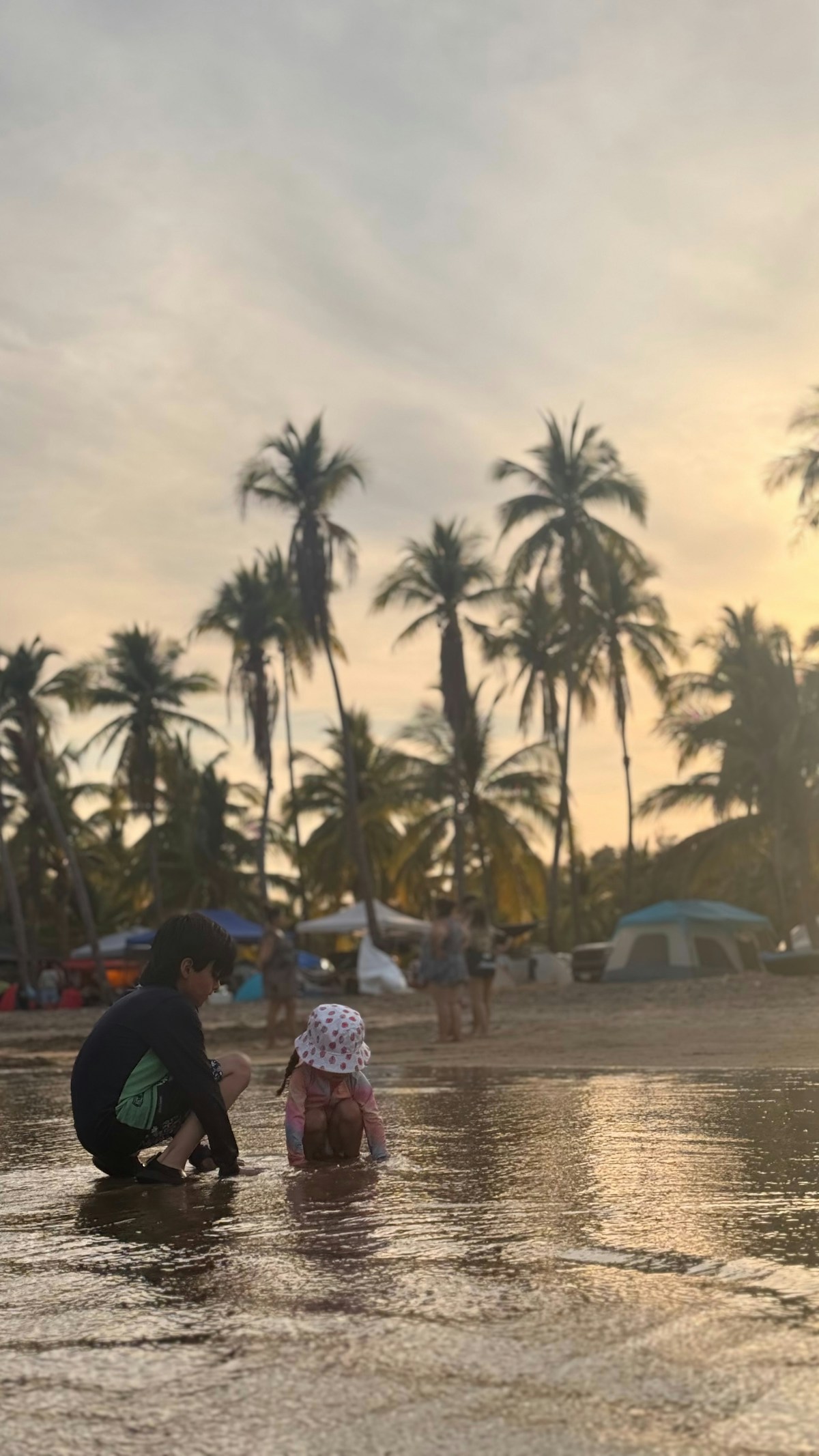 Children playing on a sandy Mexican beach with palm trees
