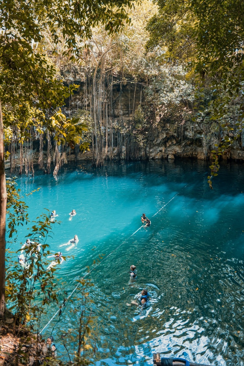 People swimming in a clear turquoise cenote pool surrounded by jungle, Yokdzonot, Yucatan