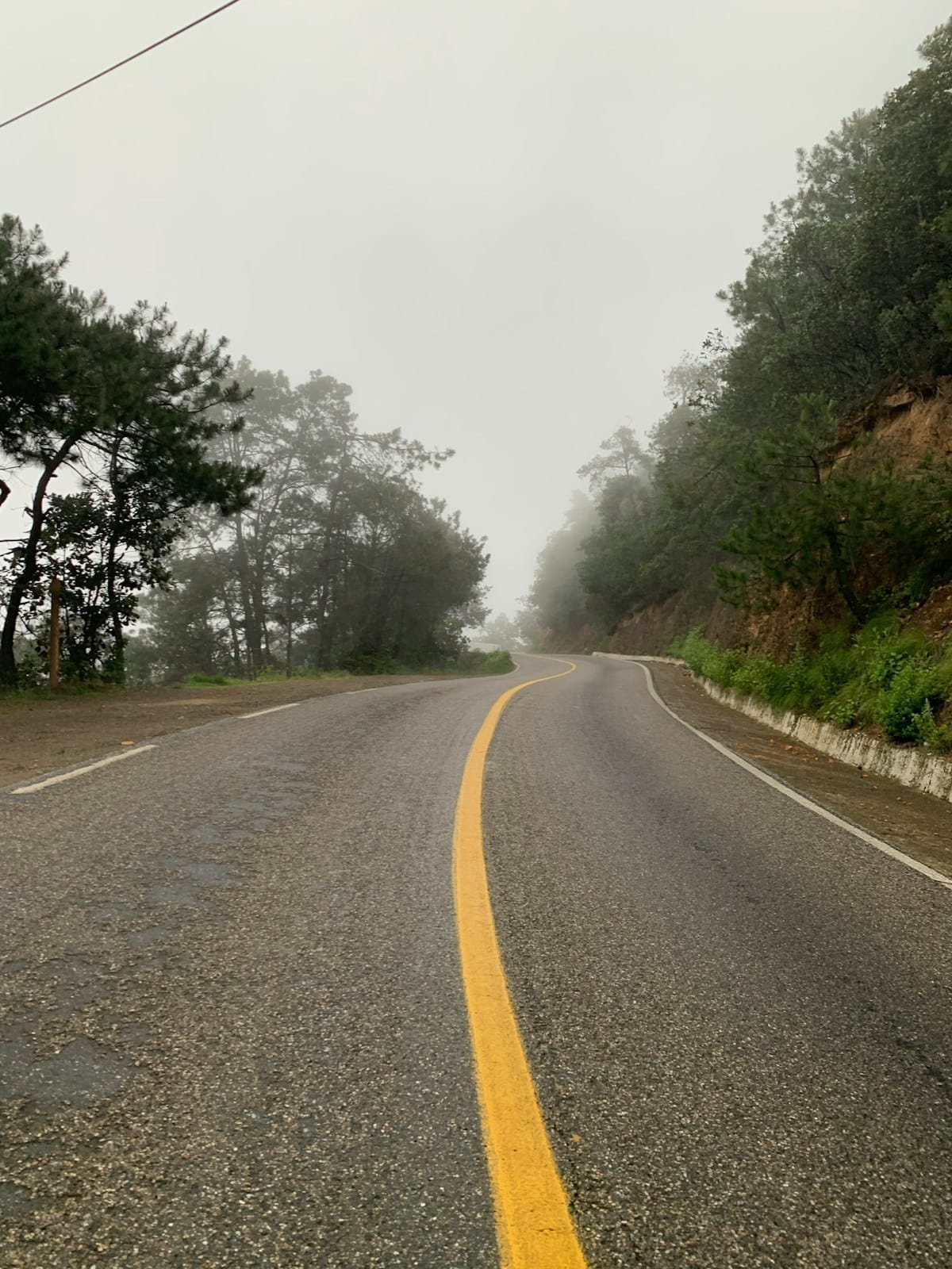 Road through green forest in Oaxaca, Mexico — Huatulco airport transfer