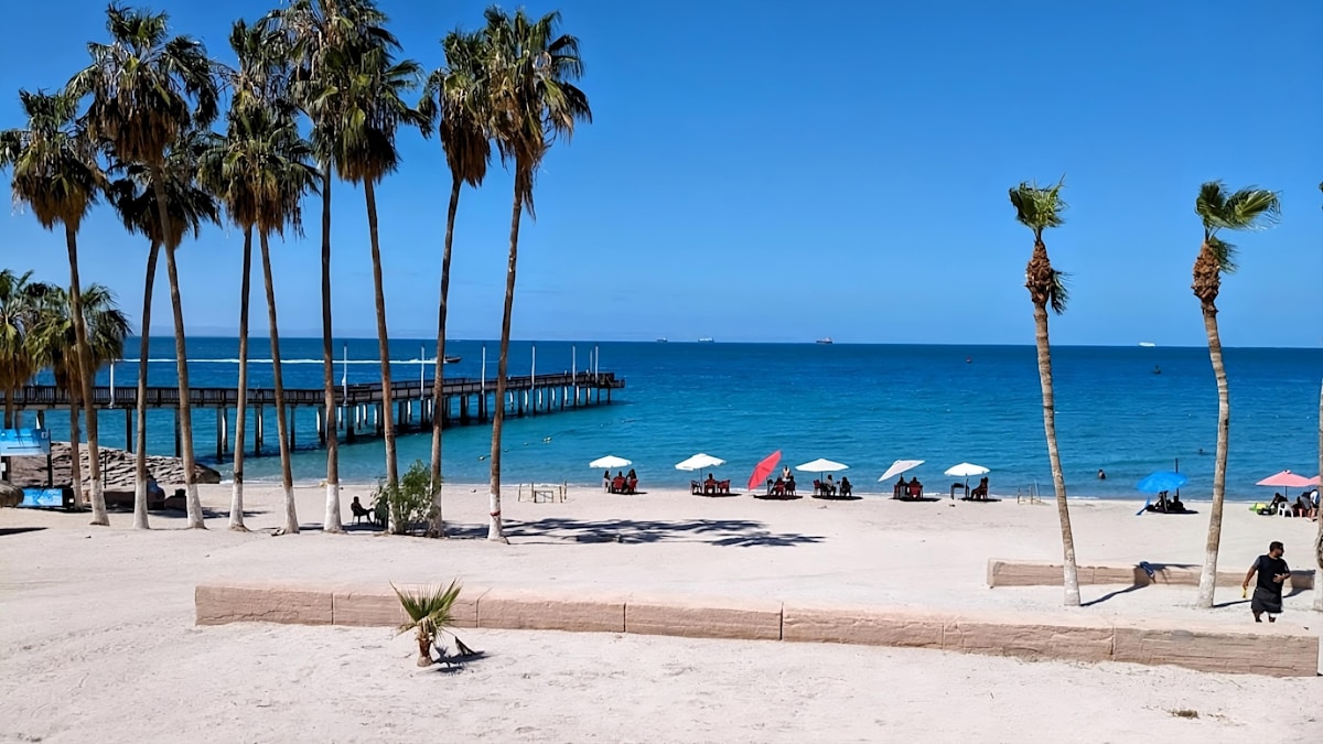 Beach with tall palm trees and a wooden pier on the calm blue Sea of Cortez, La Paz, Baja California Sur