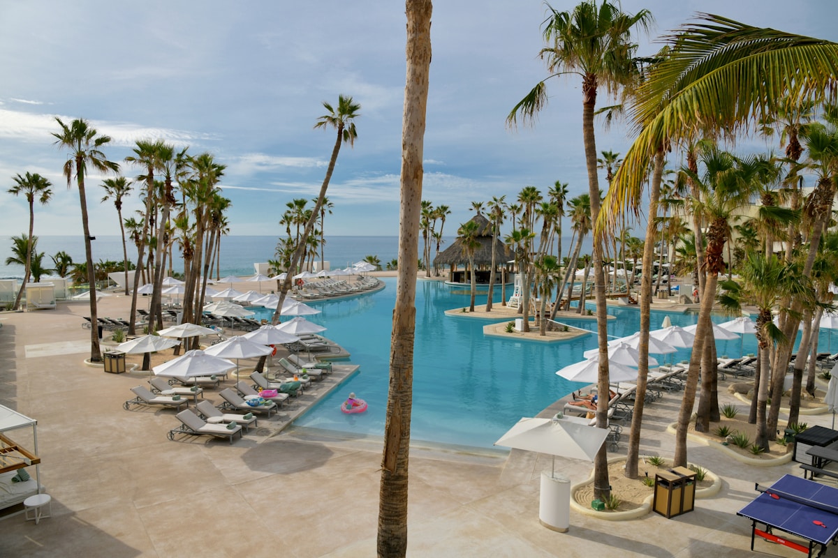 Resort pool with palm trees overlooking the Pacific, Los Cabos, Baja California Sur, Mexico