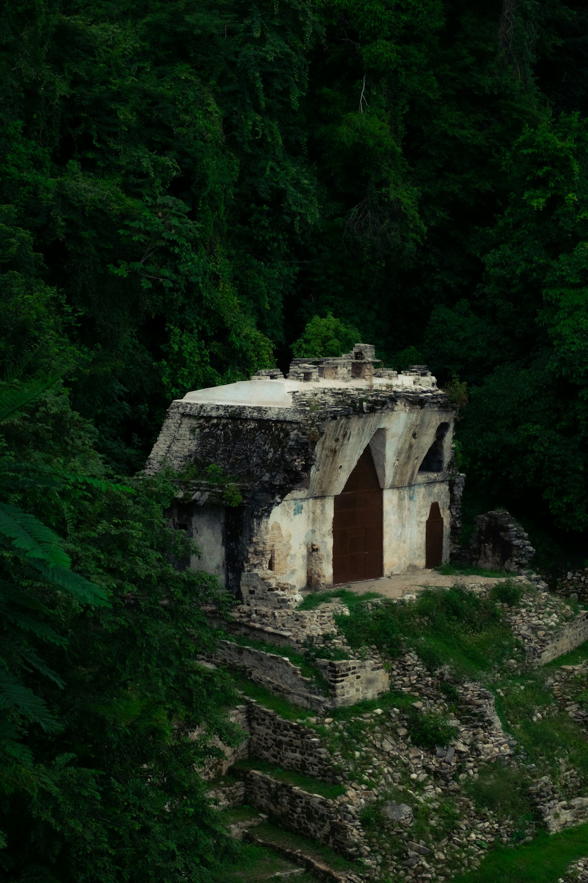 Ancient Mayan stone structure surrounded by dense green jungle, Palenque, Chiapas, Mexico