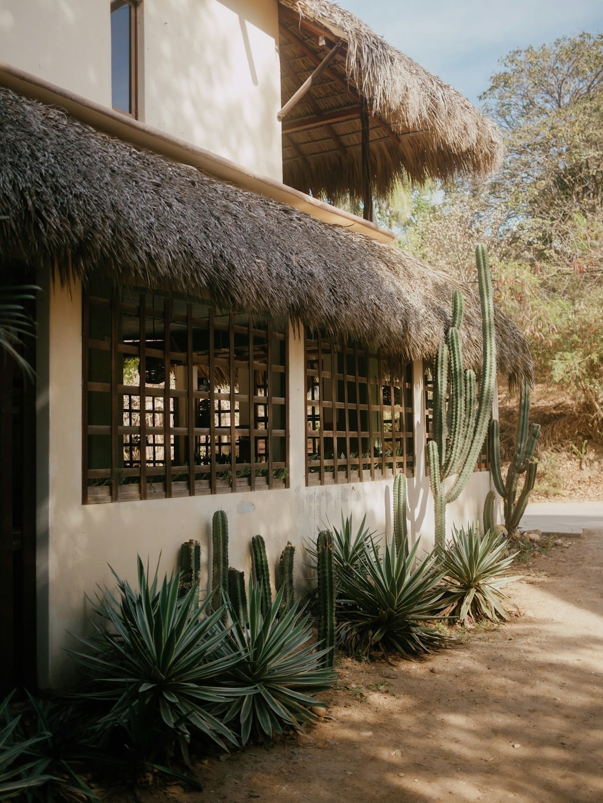 Waves breaking on Zicatela beach with palm-lined shore at Puerto Escondido, Oaxaca