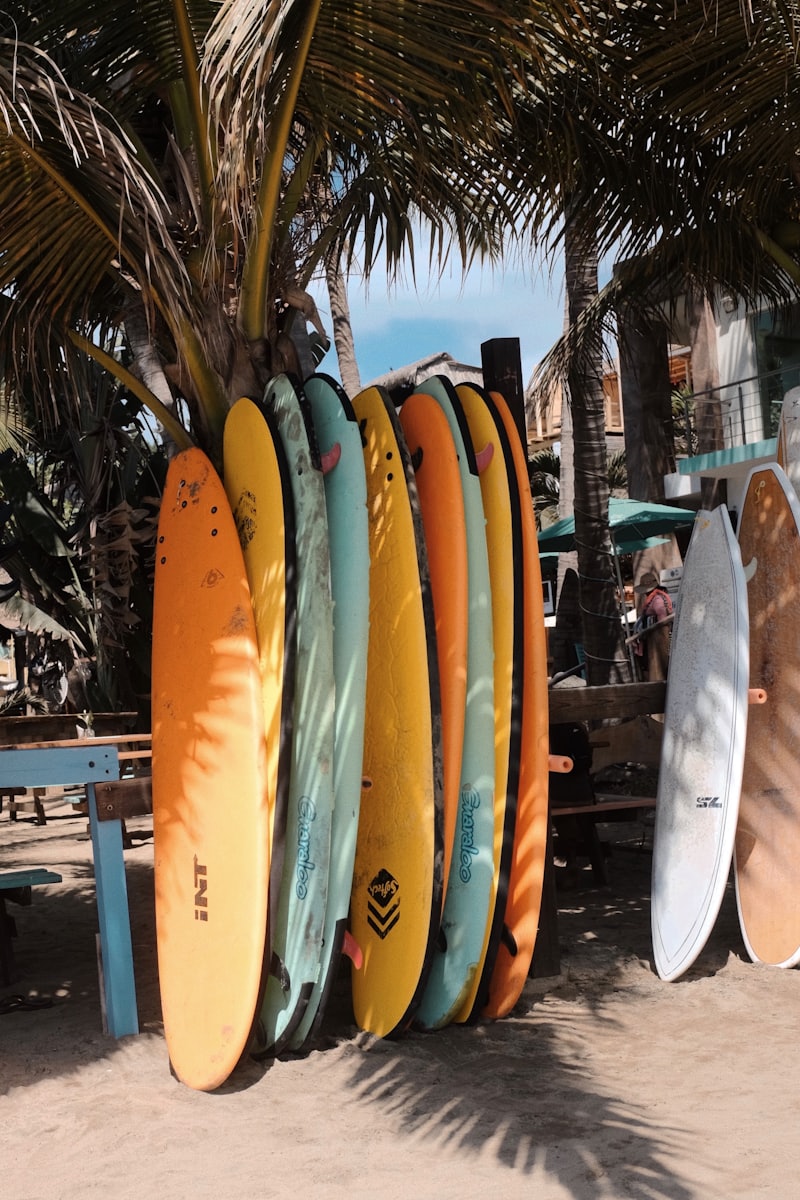 Colourful surfboards lined up against a palm tree on the beach, Sayulita, Nayarit, Mexico