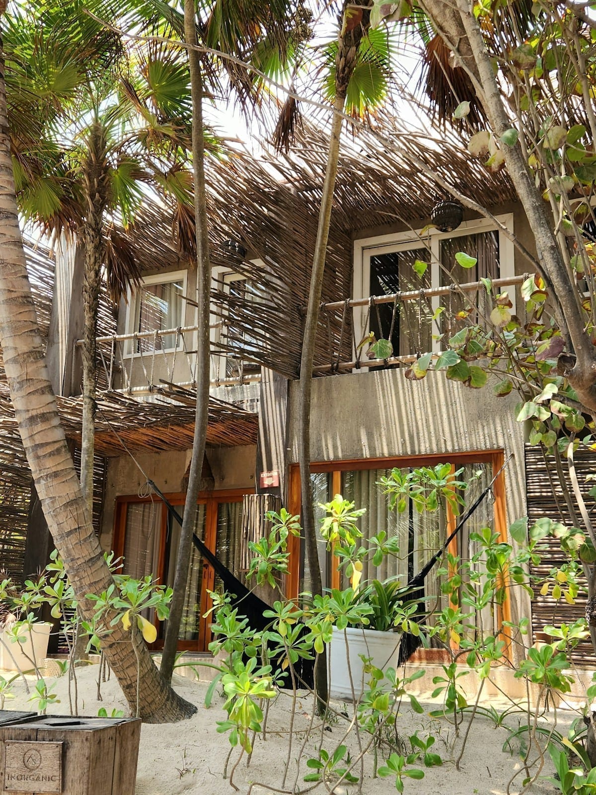 Rustic thatched beach bungalow with hammock among palm trees, Tulum, Mexico